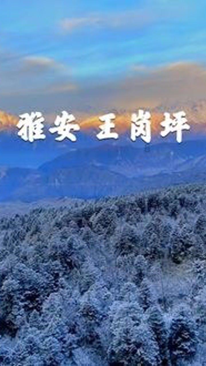 朋友圈背景图怎么换