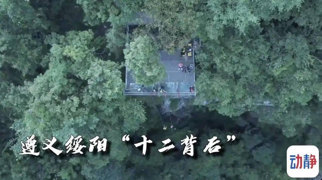 广西13篇论文在“南亚东南亚投资与贸易合规管理及法律风险防范论坛”获奖
