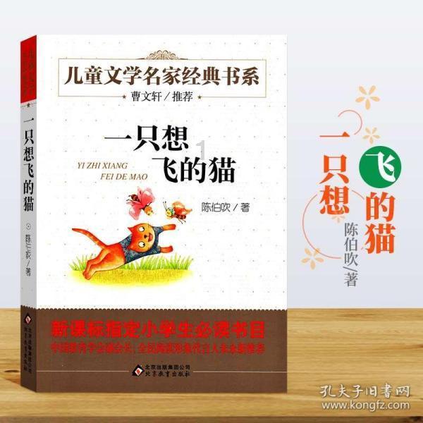 暗黑精灵的装扮