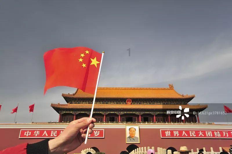 解救金刚鹦鹉